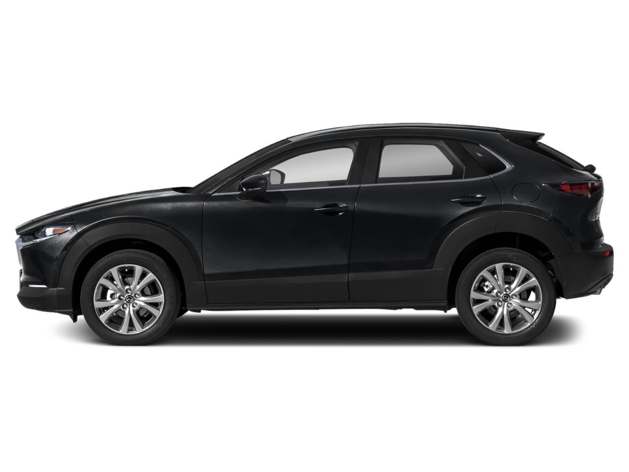 2021 Mazda CX-30 Vehicle Photo in Green Bay, WI 54304