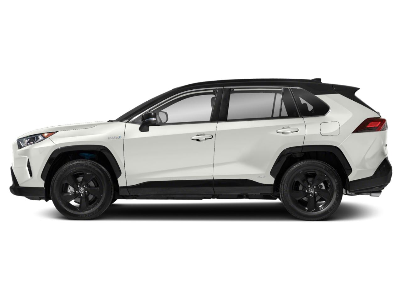 2021 Toyota RAV4 Vehicle Photo in Pinellas Park , FL 33781