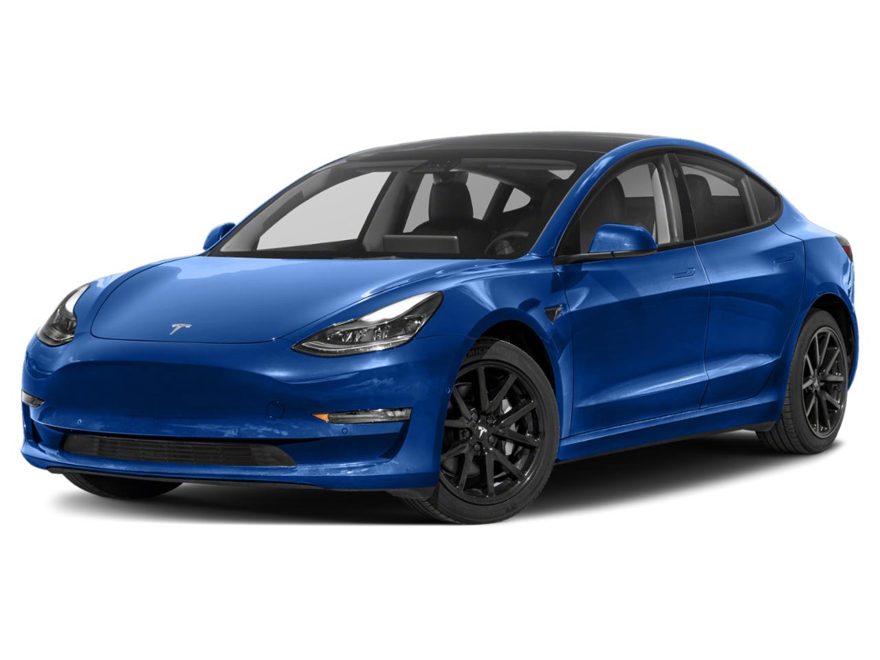 2021 Tesla Model 3 Vehicle Photo in PORT RICHEY, FL 34668-3850