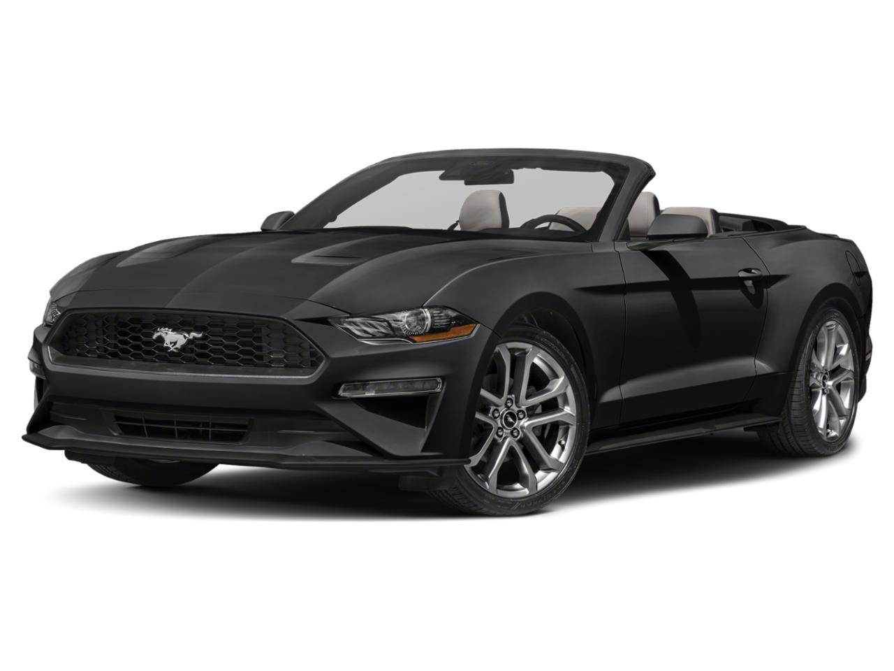 2022 Ford Mustang Vehicle Photo in MIAMI, FL 33172-3015