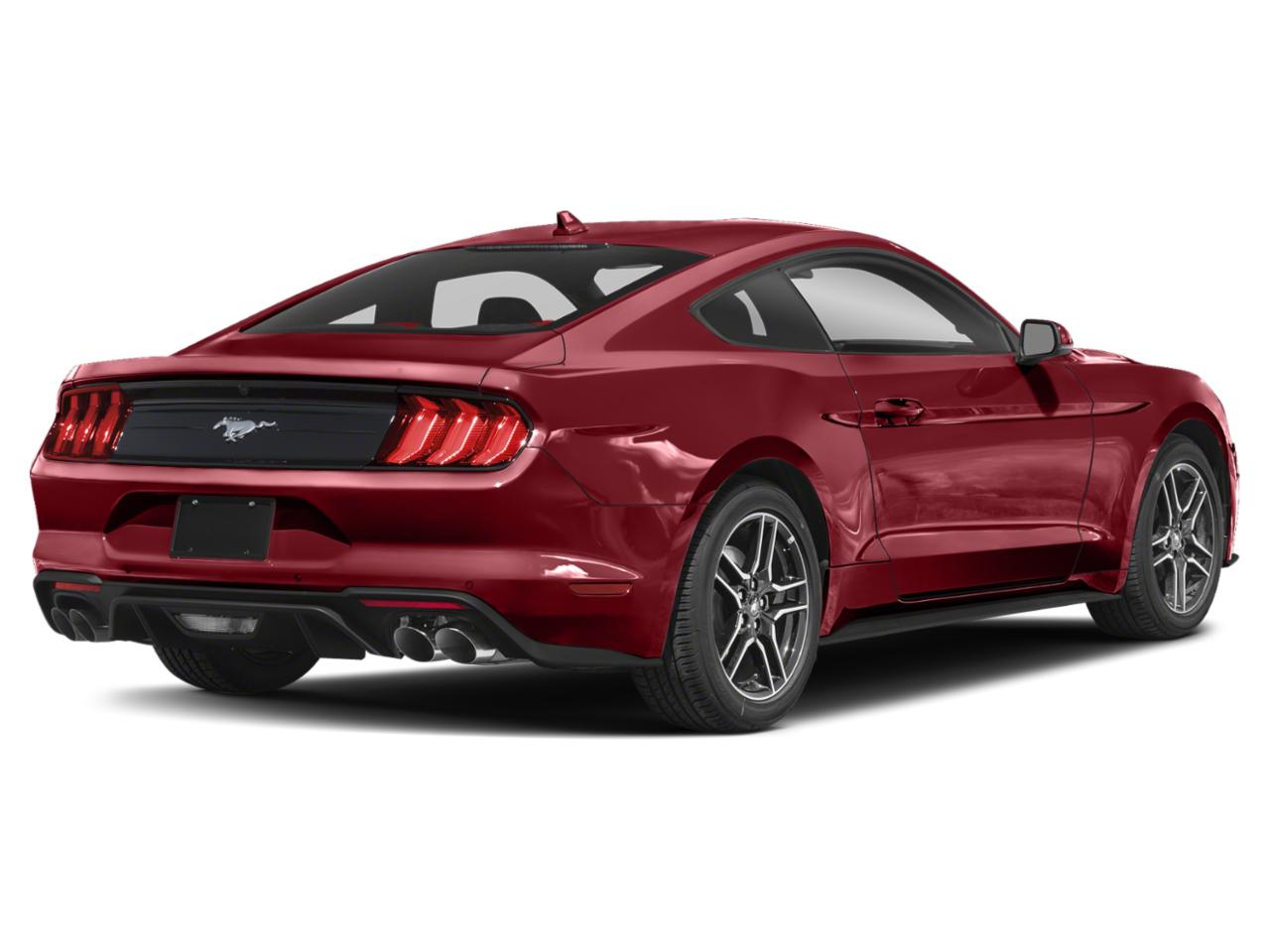 2022 Ford Mustang Vehicle Photo in GRAND BLANC, MI 48439-8139