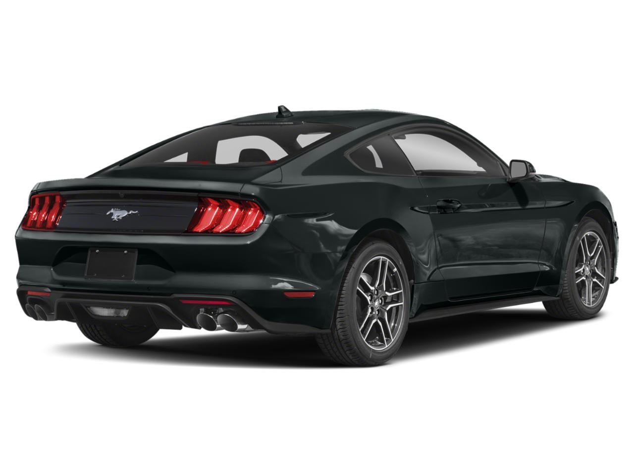 2022 Ford Mustang Vehicle Photo in ELK GROVE, CA 95757-8703