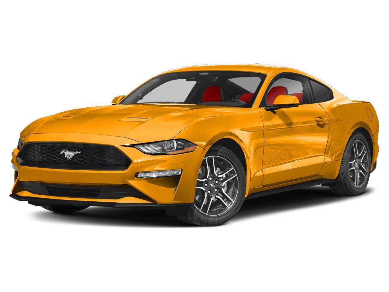 2022 Ford Mustang Vehicle Photo in Margate, FL 33063