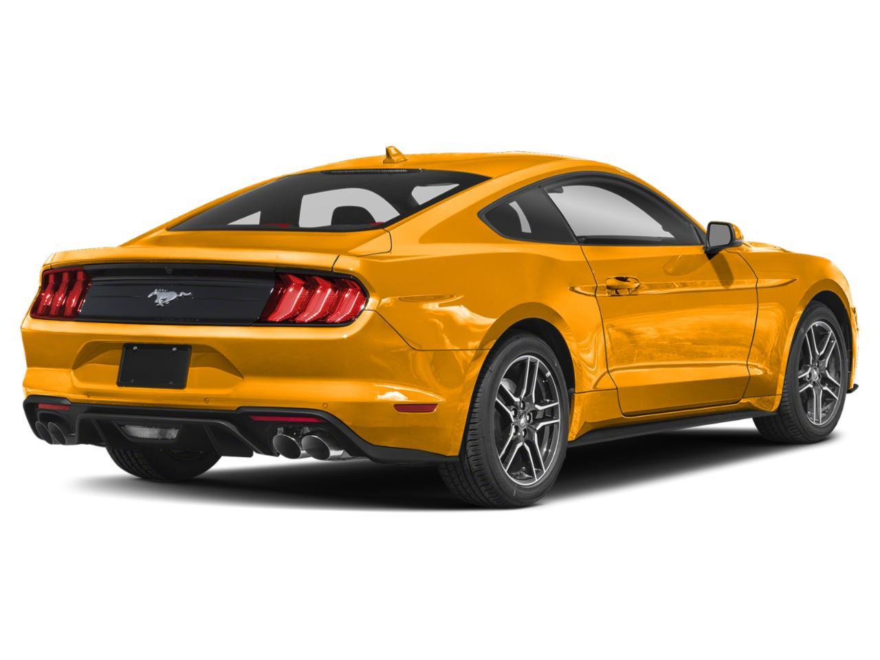 2022 Ford Mustang Vehicle Photo in Margate, FL 33063