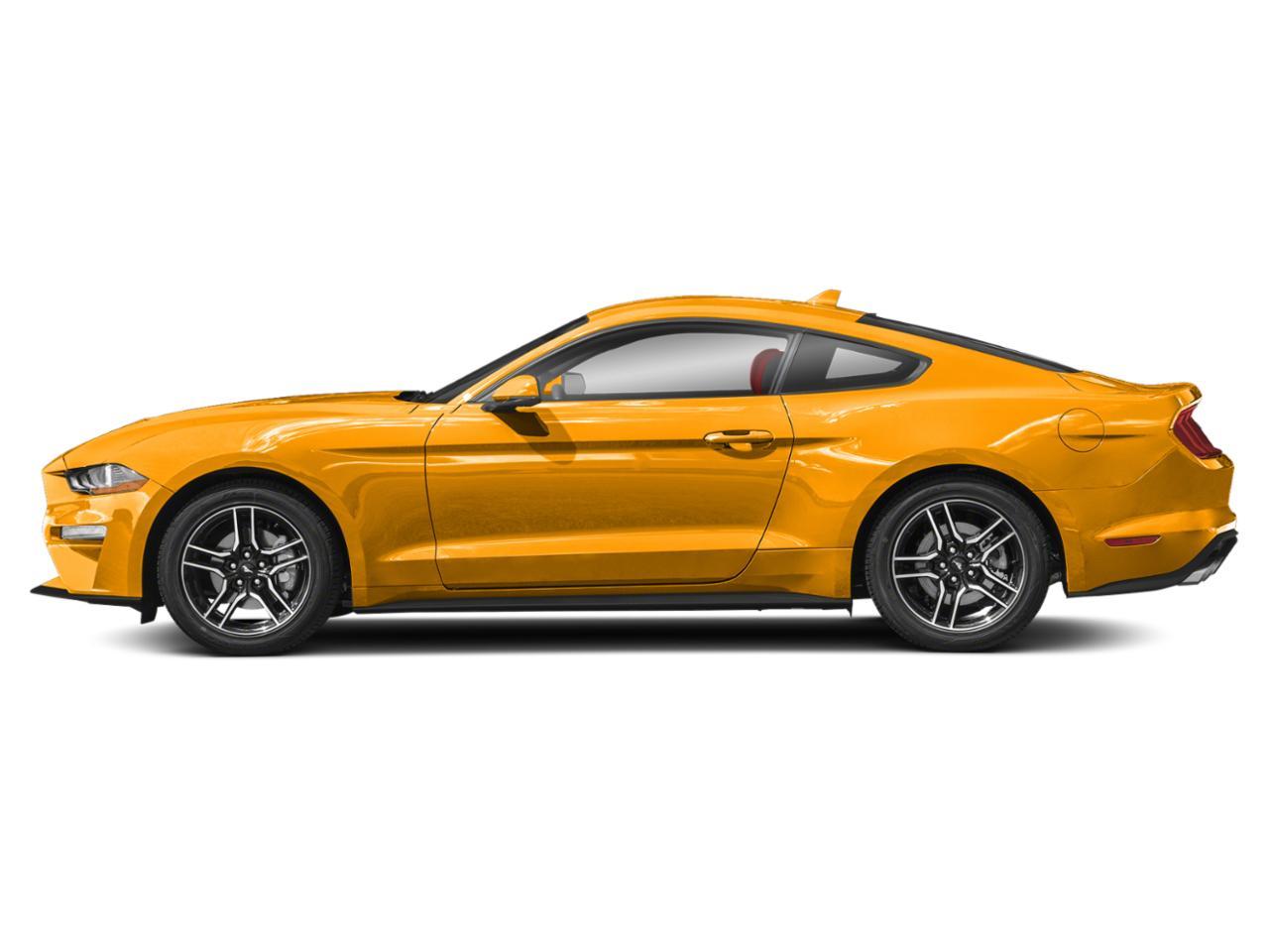 2022 Ford Mustang Vehicle Photo in Margate, FL 33063