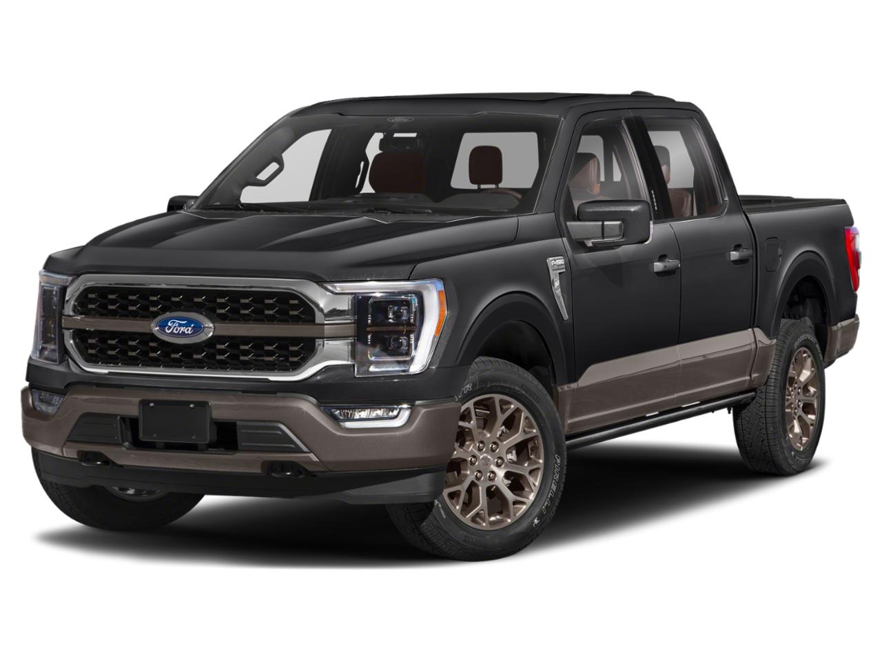 2022 Ford F-150 Vehicle Photo in SELMA, TX 78154-1459