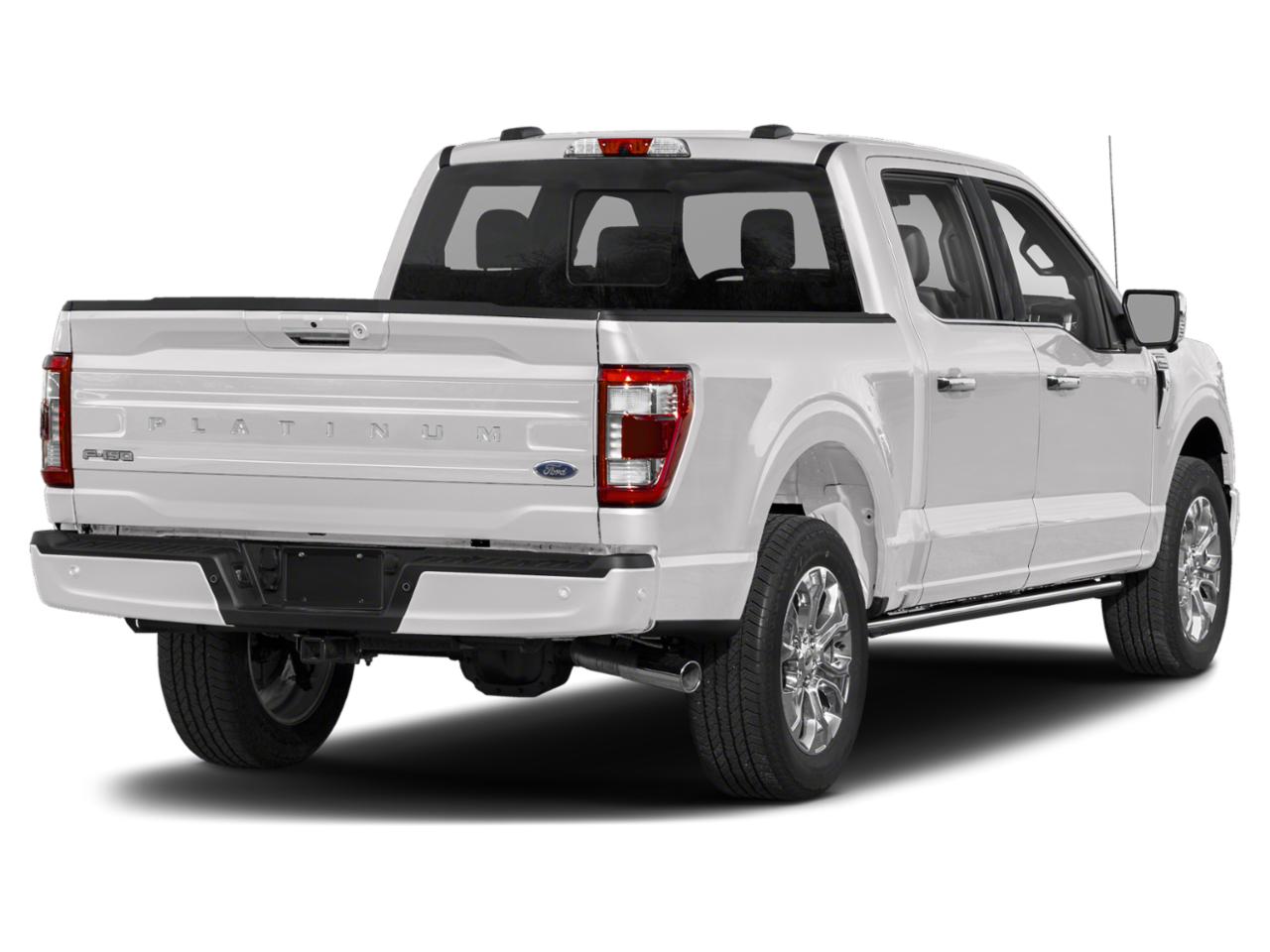 2022 Ford F-150 Vehicle Photo in St. Petersburg, FL 33713