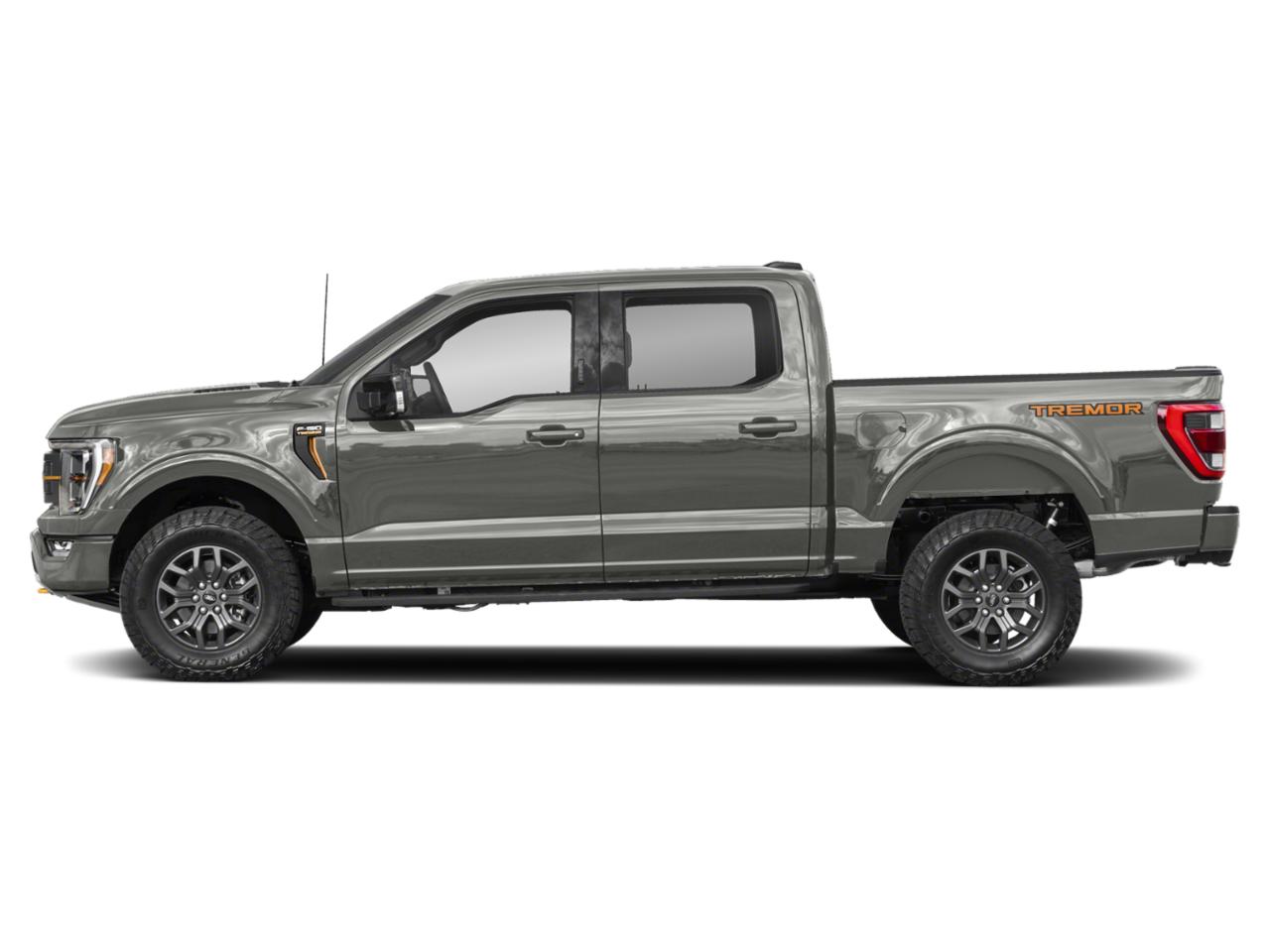 2022 Ford F-150 Vehicle Photo in St. Petersburg, FL 33713