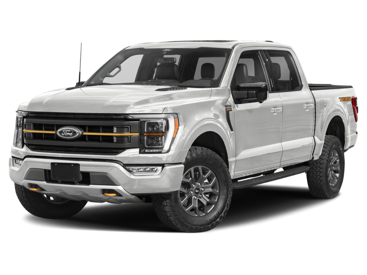 2022 Ford F-150 Vehicle Photo in Jacksonville, FL 32244