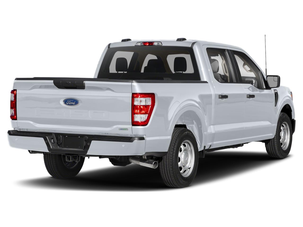 2022 Ford F-150 Vehicle Photo in CORPUS CHRISTI, TX 78412-4902