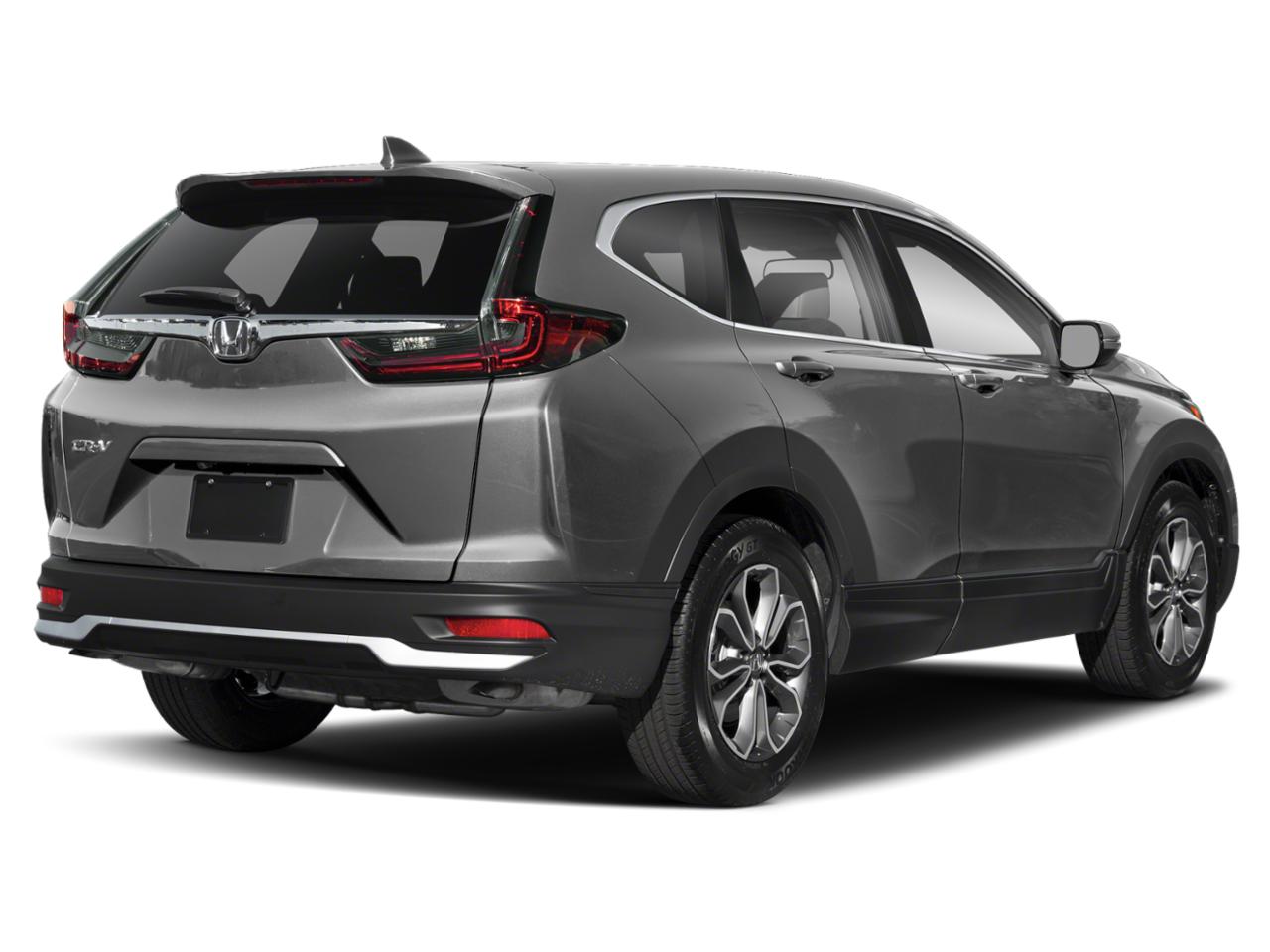 2022 Honda CR-V Vehicle Photo in San Antonio, TX 78230