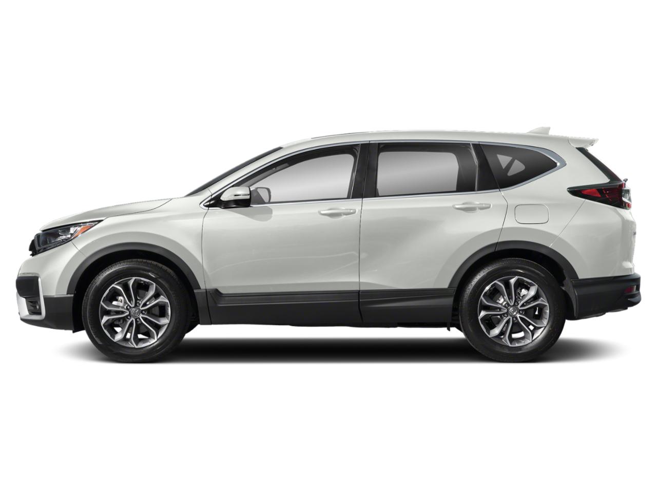 2022 Honda CR-V Vehicle Photo in Miami, FL 33015