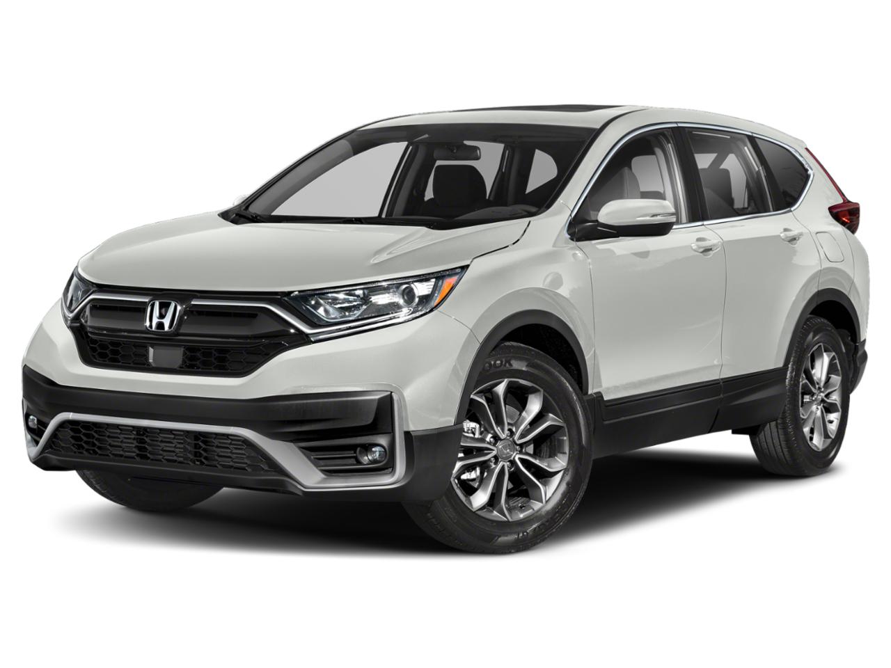 2022 Honda CR-V Vehicle Photo in Hollywood, FL 33021