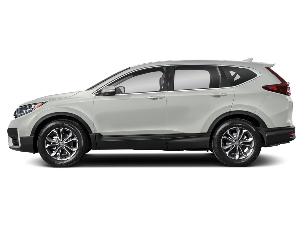 2022 Honda CR-V Vehicle Photo in Miami, FL 33015