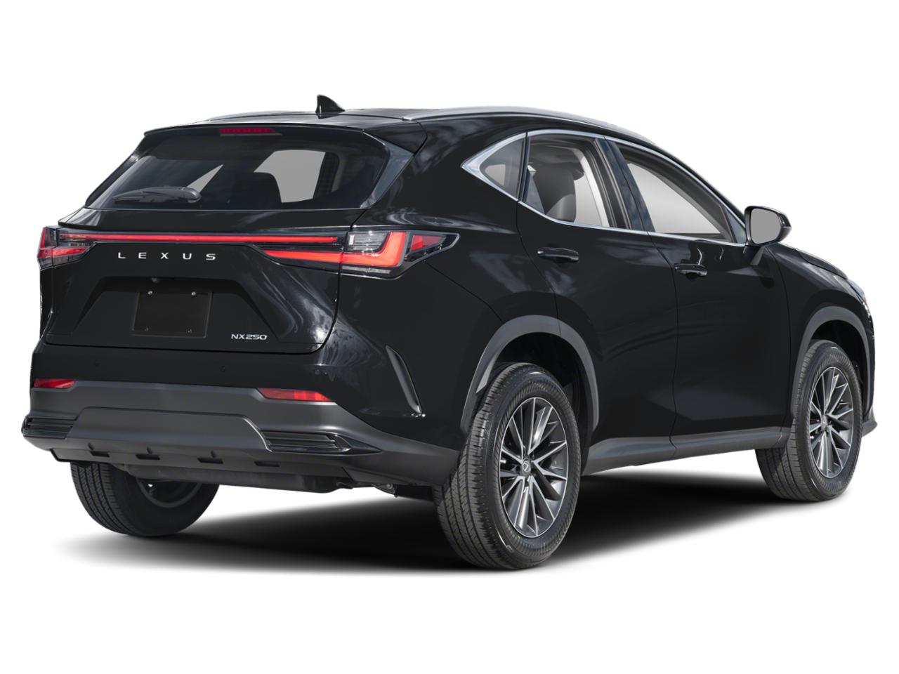 2022 Lexus NX 250 Vehicle Photo in Clearwater, FL 33761