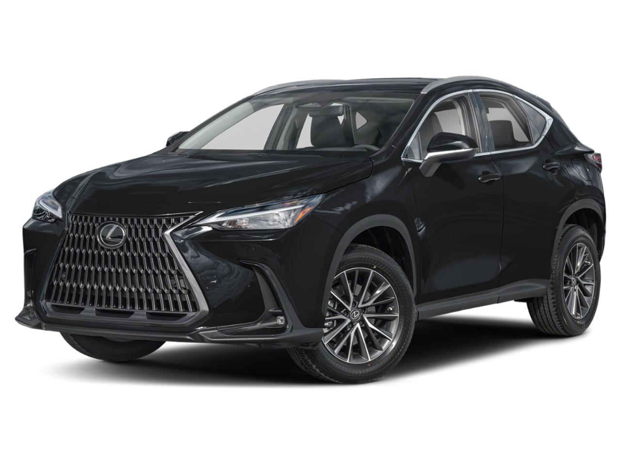 2022 Lexus NX 250 Vehicle Photo in Clearwater, FL 33761