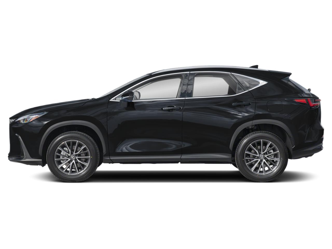 2022 Lexus NX 250 Vehicle Photo in Clearwater, FL 33761