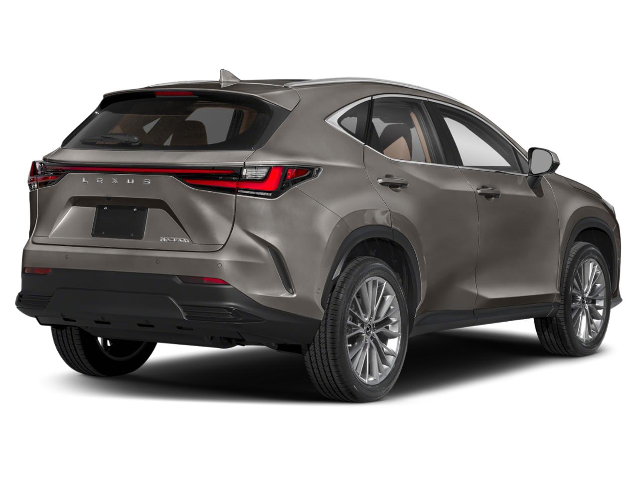 2022 Lexus NX Vehicle Photo in PEMBROKE PINES, FL 33024-6534