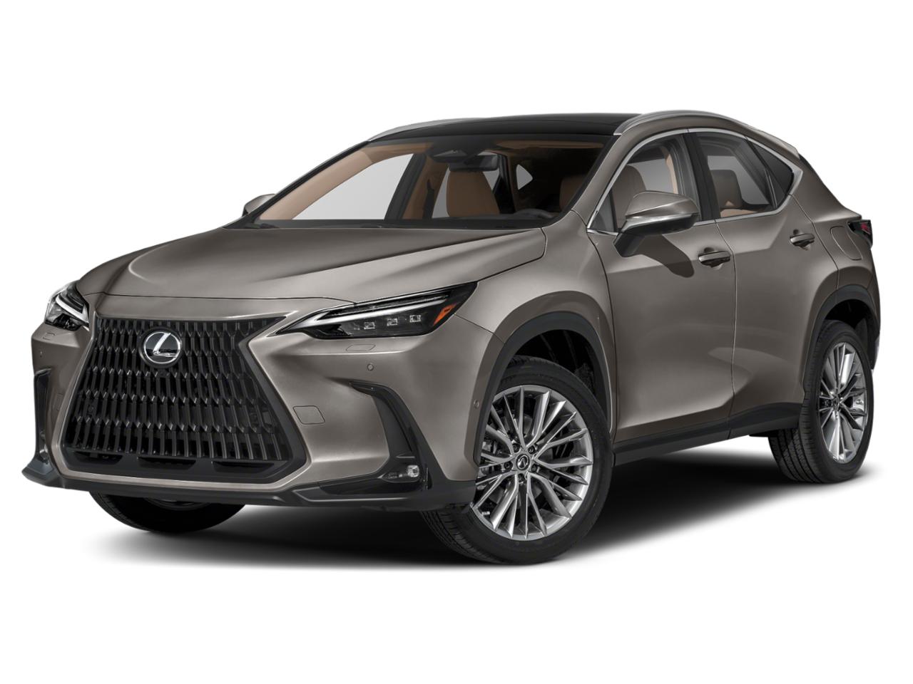 2022 Lexus NX Vehicle Photo in PEMBROKE PINES, FL 33024-6534