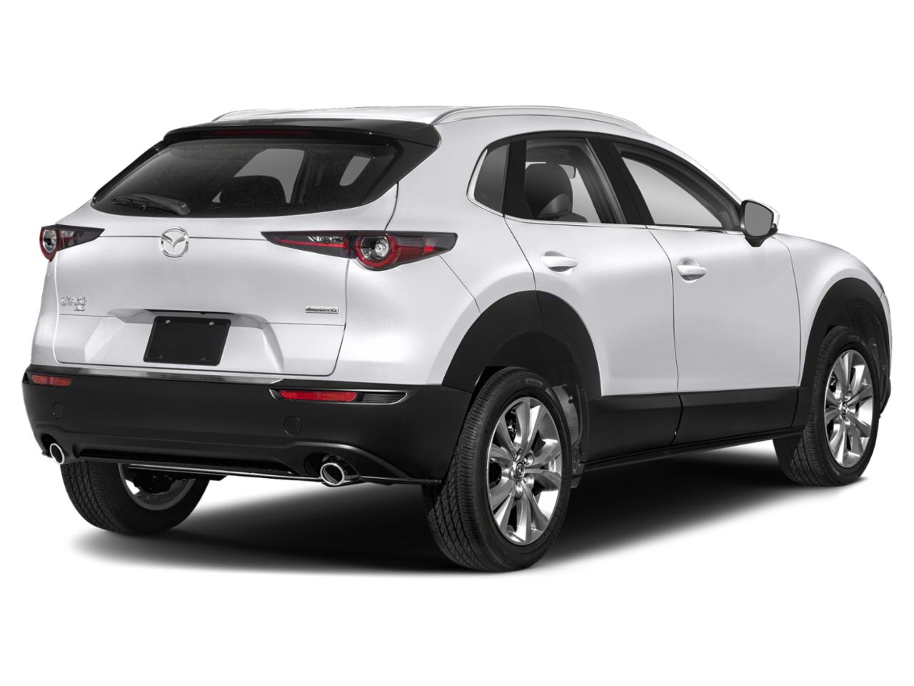 2022 Mazda CX-30 Vehicle Photo in BOURNE, MA 02532-3918