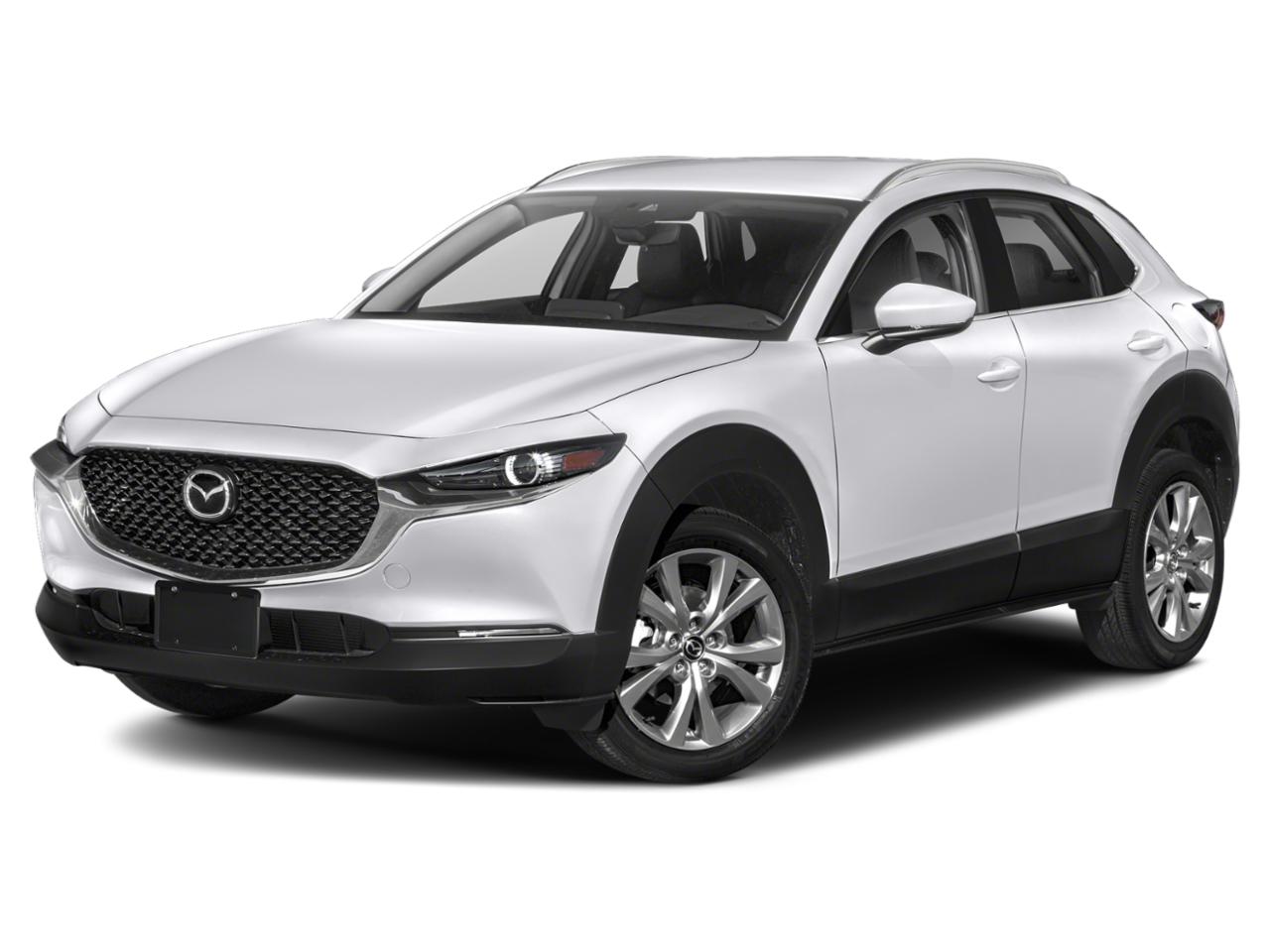 2022 Mazda CX-30 Vehicle Photo in BOURNE, MA 02532-3918