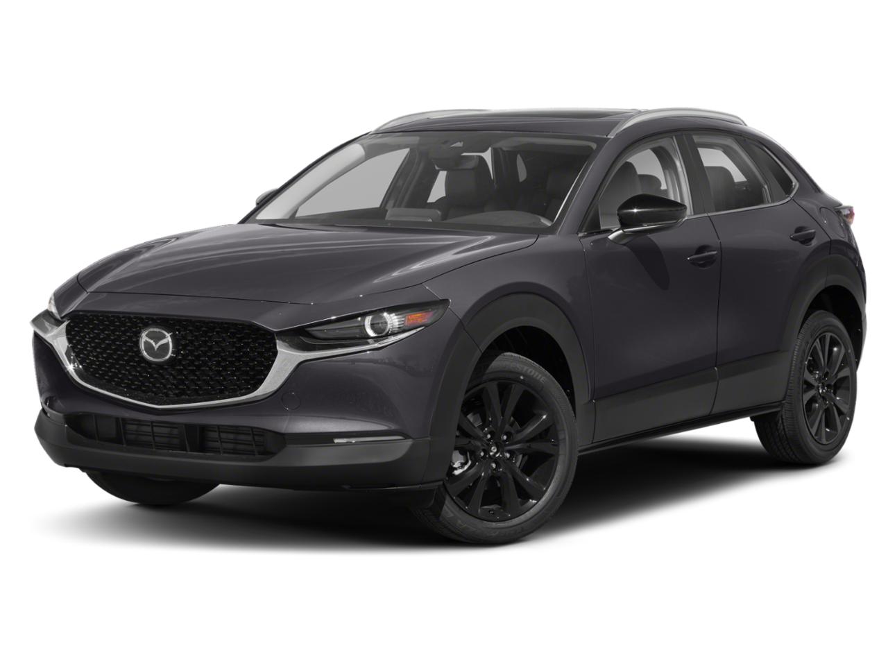 2022 Mazda CX-30 Vehicle Photo in Clearwater, FL 33765