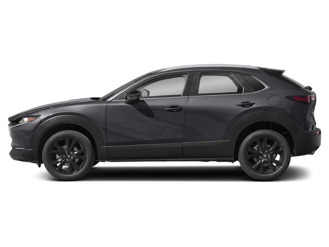 2022 Mazda CX-30 Vehicle Photo in Clearwater, FL 33765