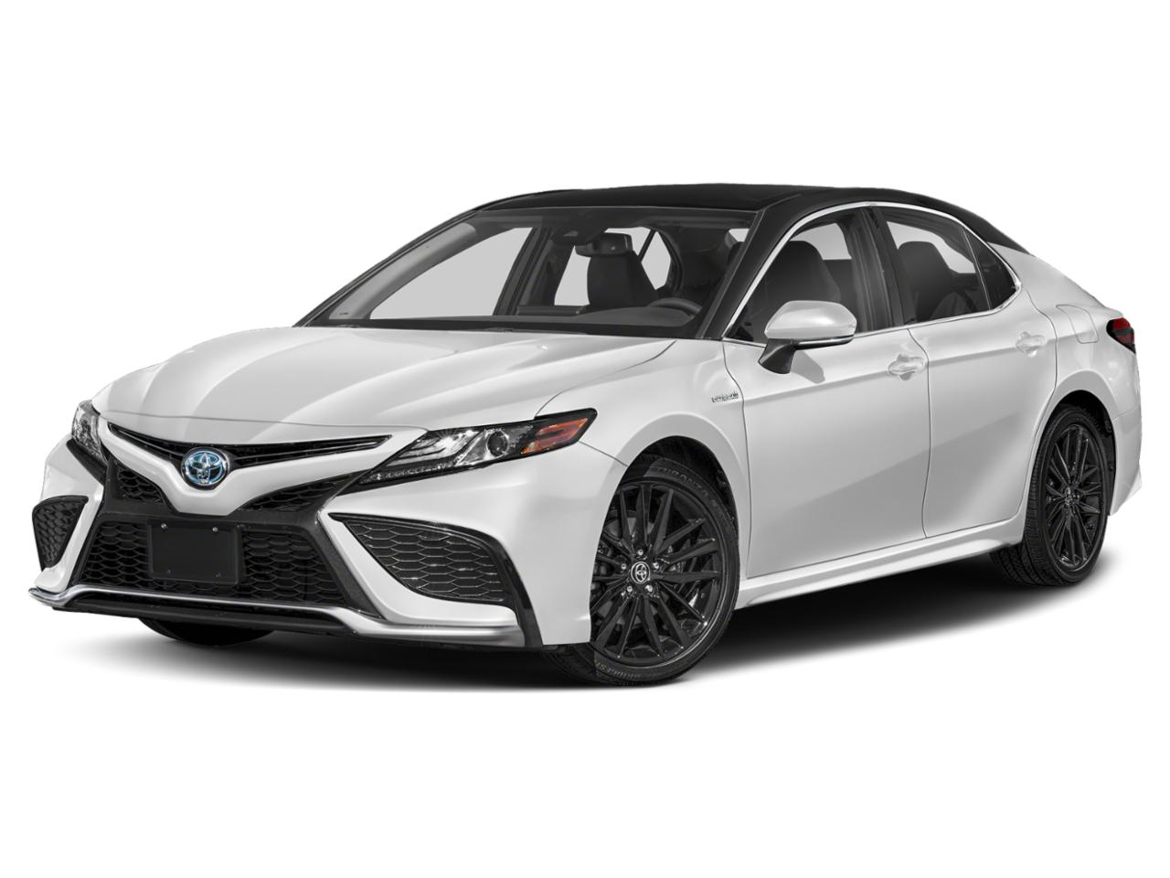 2022 Toyota Camry Vehicle Photo in Clearwater, FL 33765