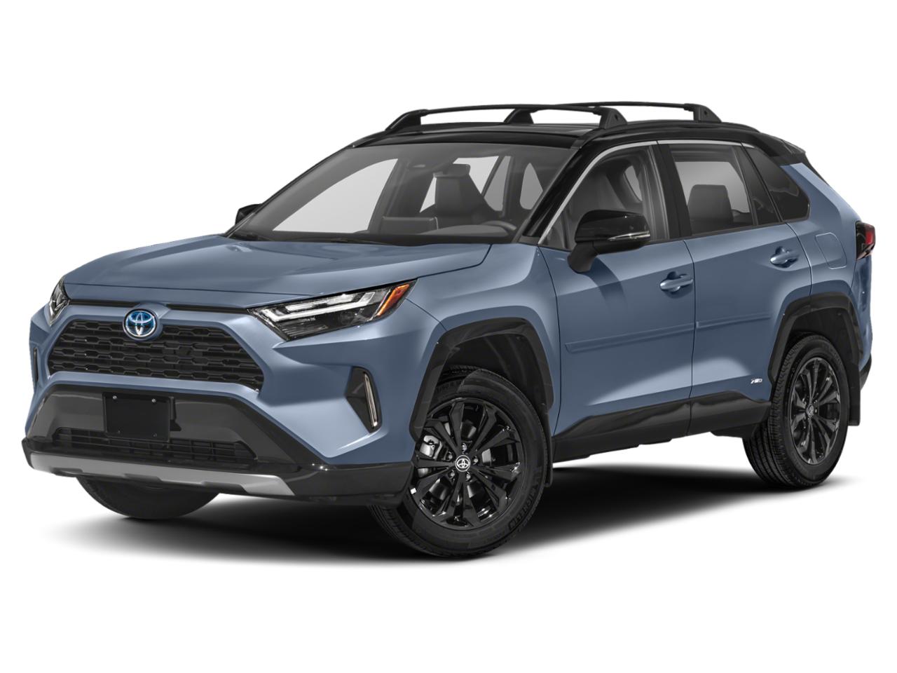 2022 Toyota RAV4 Vehicle Photo in Davie, FL 33331