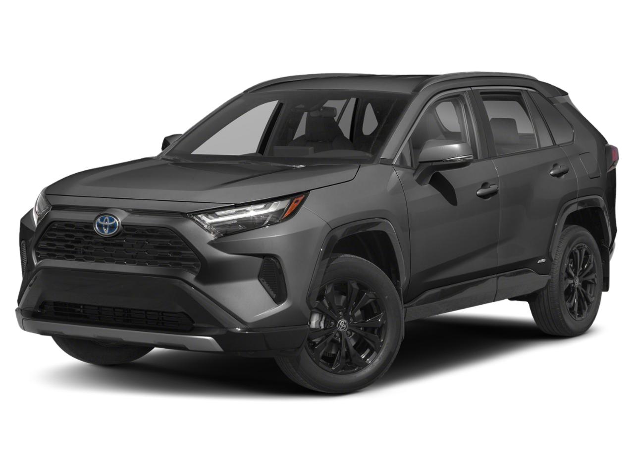 2022 Toyota RAV4 Vehicle Photo in Seguin, TX 78155