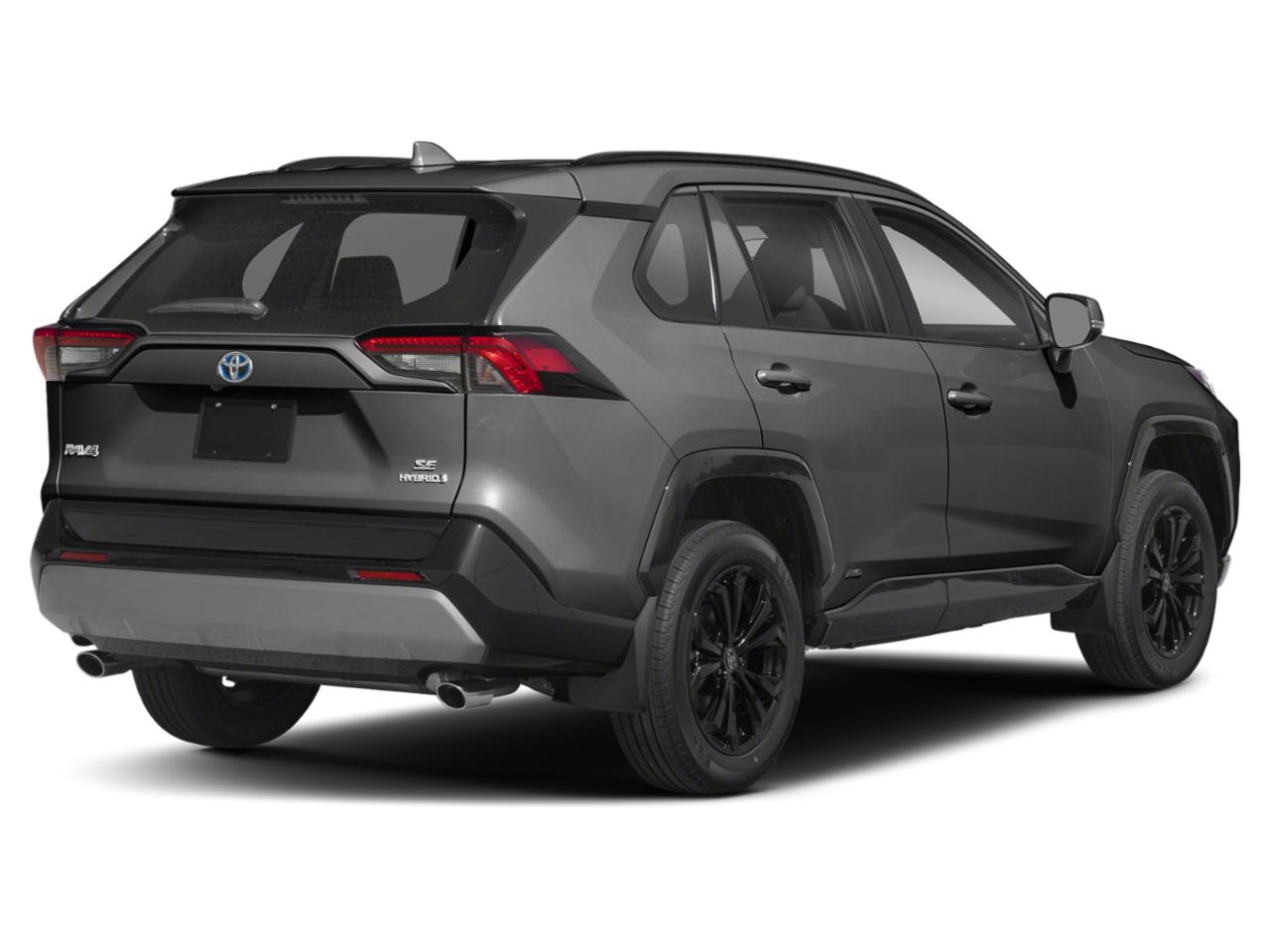 2022 Toyota RAV4 Vehicle Photo in Seguin, TX 78155