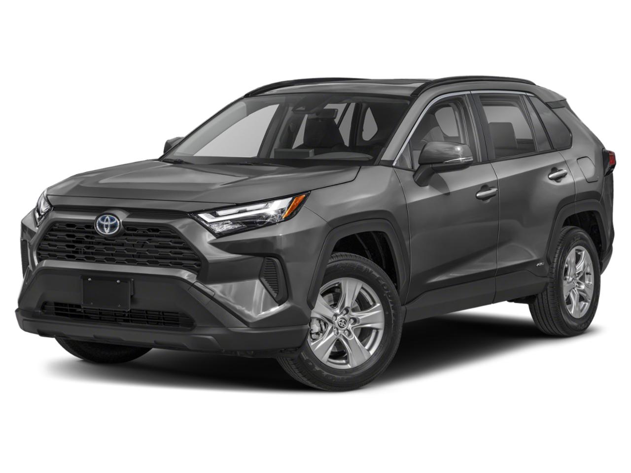 2022 Toyota RAV4 Vehicle Photo in SELMA, TX 78154-1459