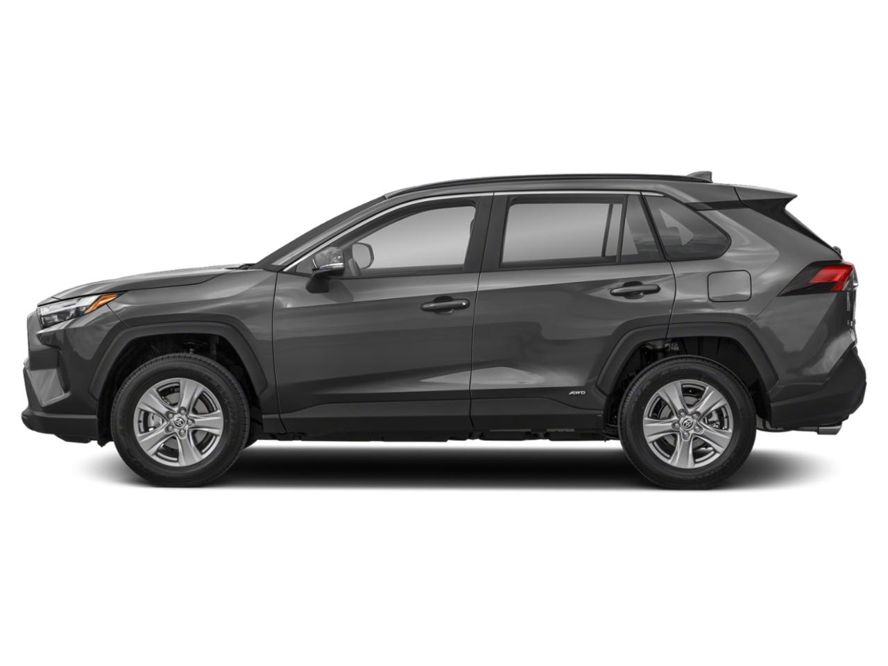 2022 Toyota RAV4 Vehicle Photo in SELMA, TX 78154-1459