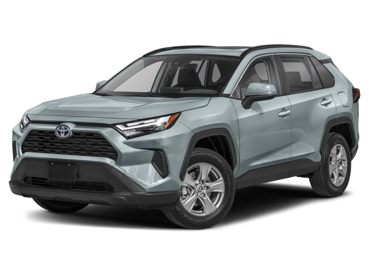 2022 Toyota RAV4 Vehicle Photo in Pinellas Park , FL 33781