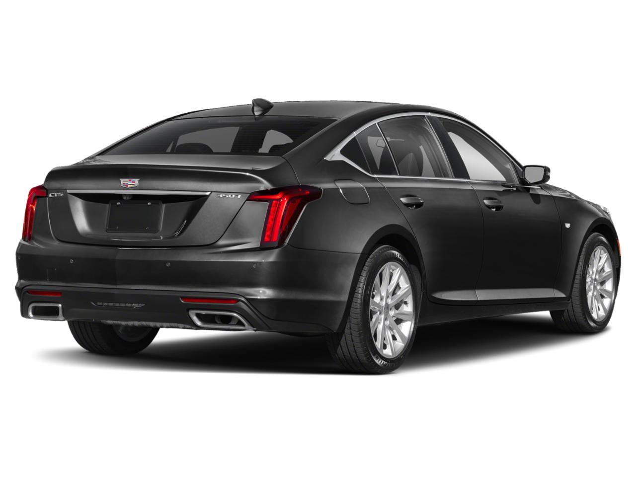 2023 Cadillac CT5 Vehicle Photo in White Plains, NY 10601