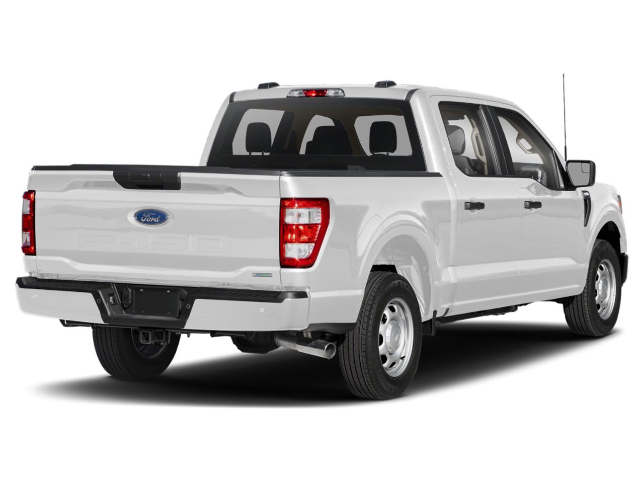 2023 Ford F-150 Vehicle Photo in Brunswick, GA 31525