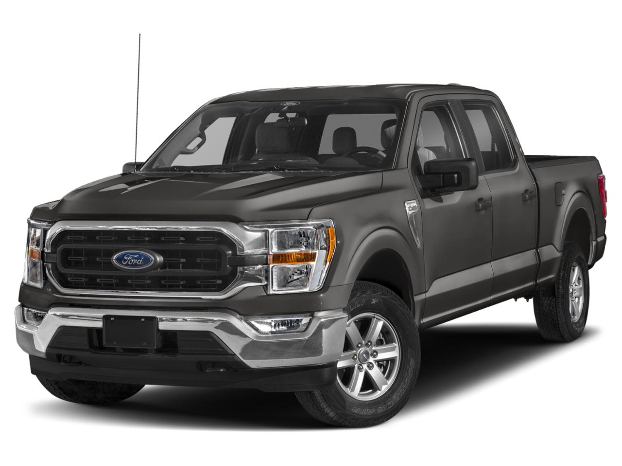 2023 Ford F-150 Vehicle Photo in Pinellas Park , FL 33781