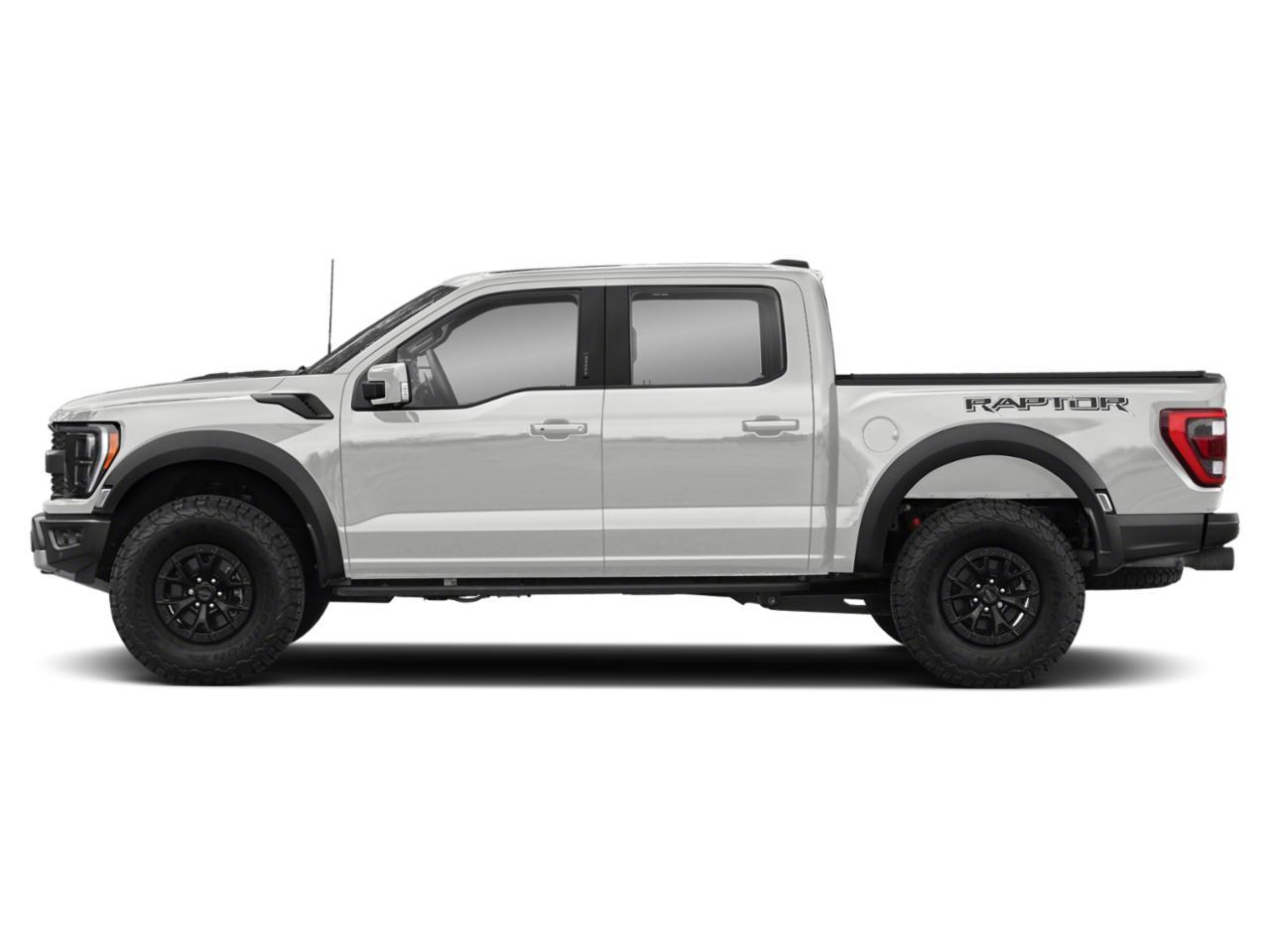 2023 Ford F-150 Vehicle Photo in SELMA, TX 78154-1459