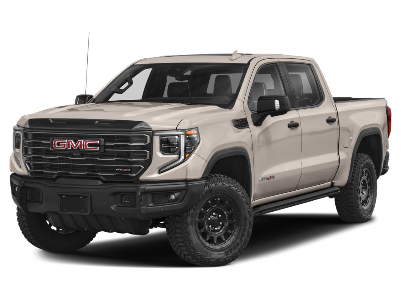 2023 GMC Sierra 1500 Vehicle Photo in SELMA, TX 78154-1459