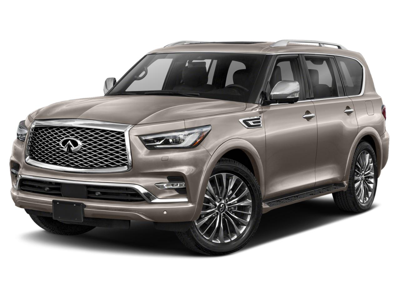 2023 INFINITI QX80 Vehicle Photo in San Antonio, TX 78230