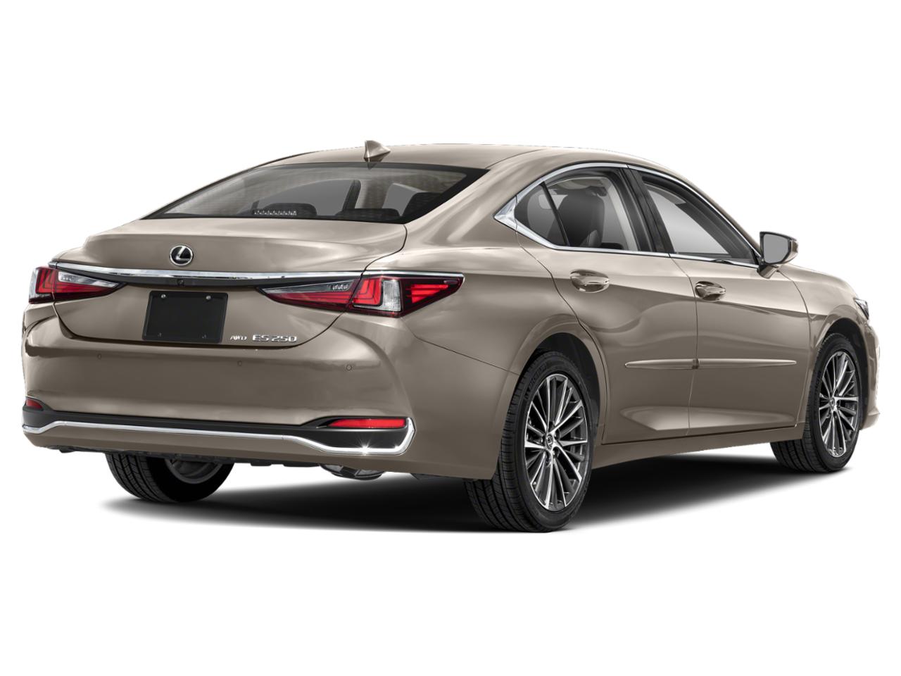 2023 Lexus ES 250 Vehicle Photo in Tampa, FL 33614