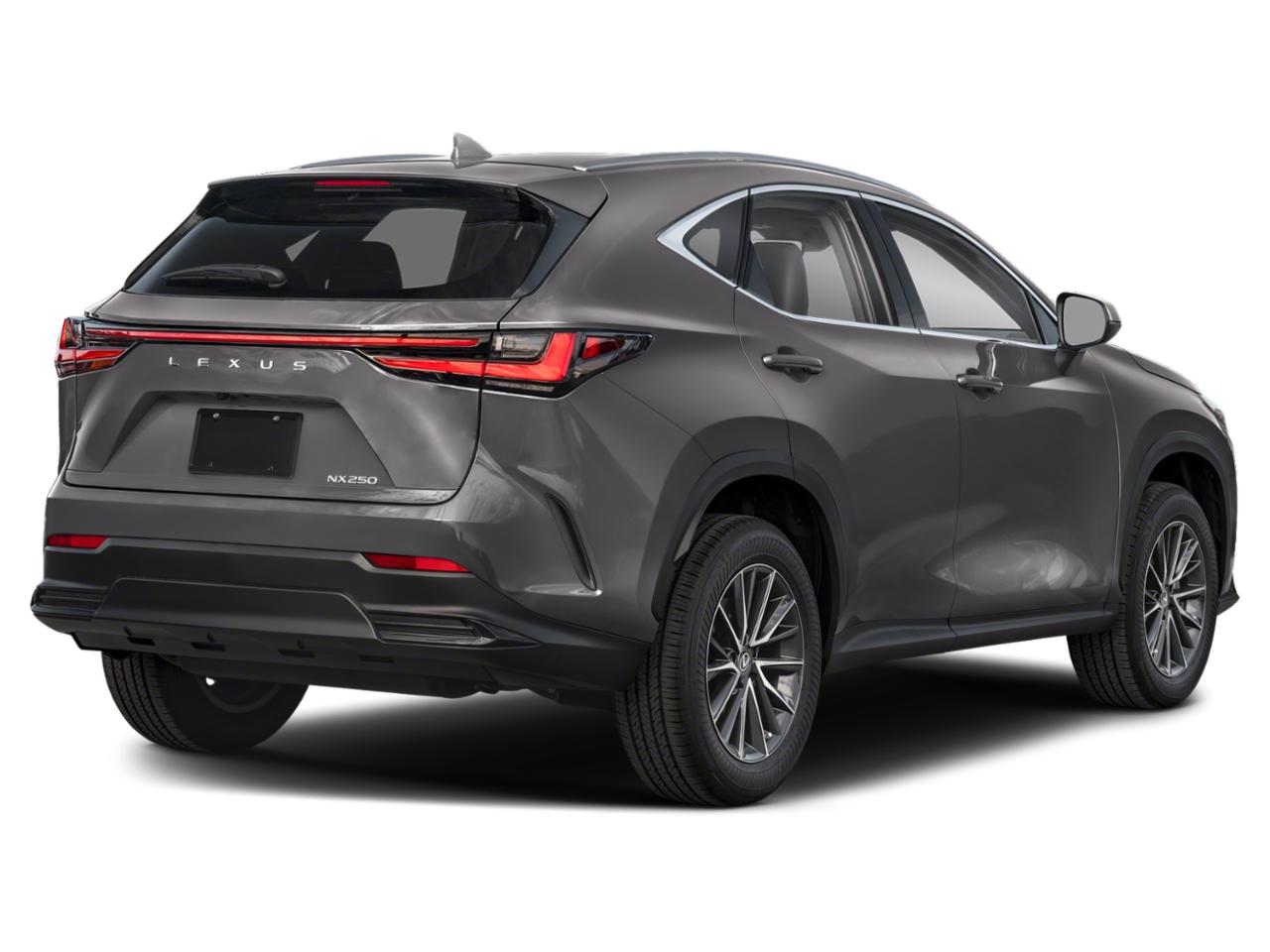 2023 Lexus NX 250 Vehicle Photo in West Palm Beach, FL 33417