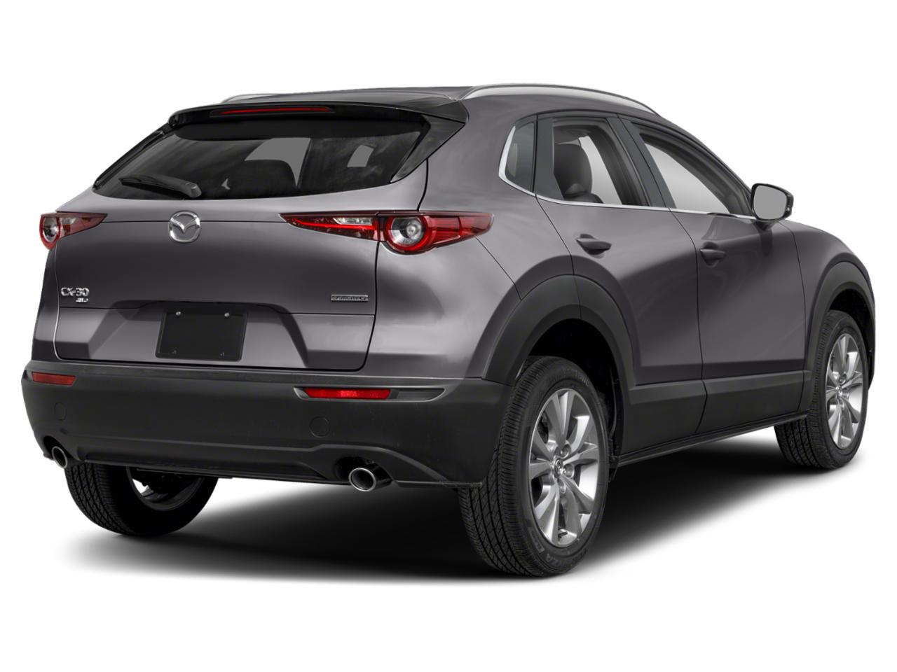 2023 Mazda CX-30 Vehicle Photo in Panama City, FL 32401