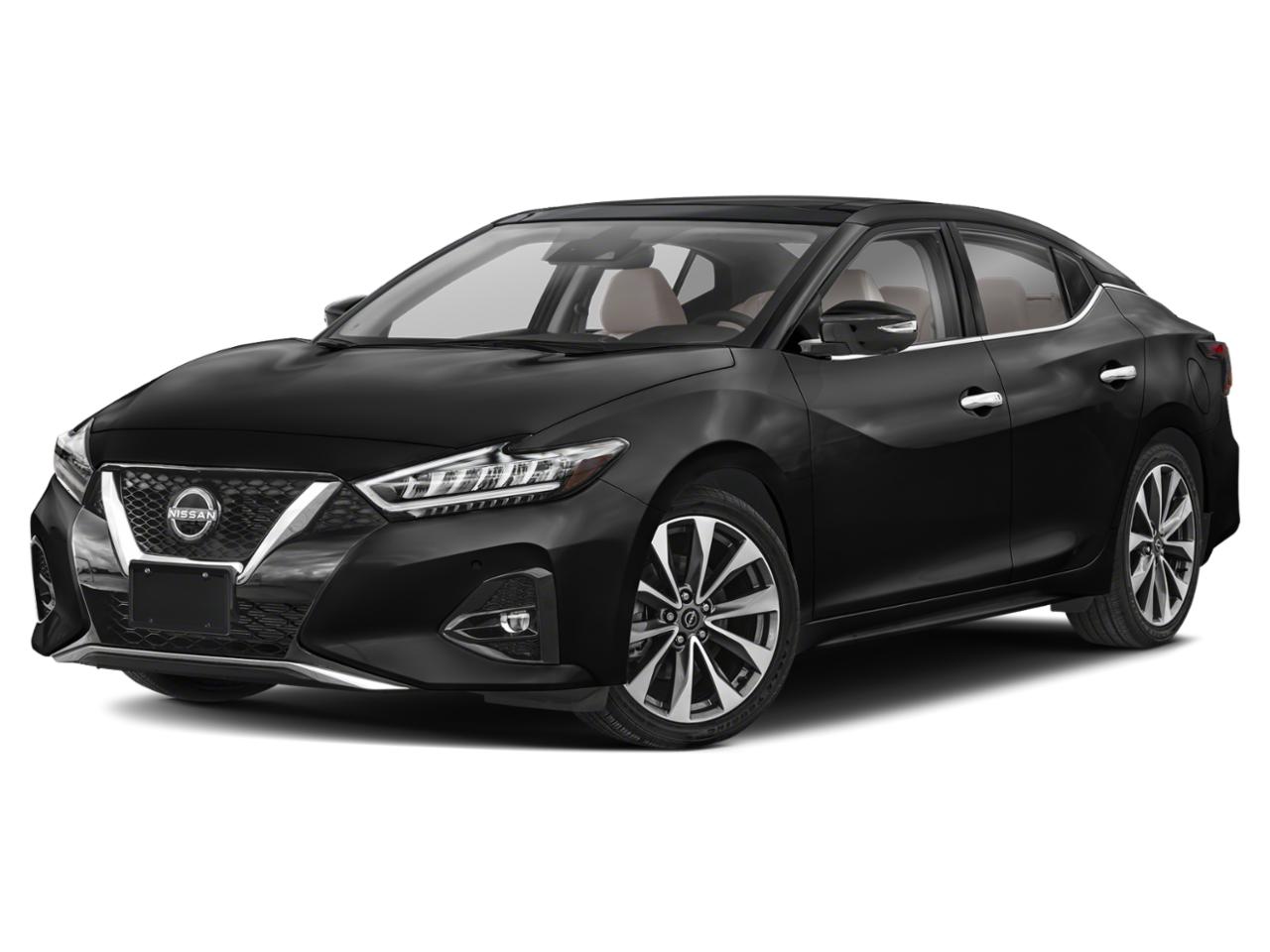 2023 Nissan Maxima Vehicle Photo in Willow Grove, PA 19090