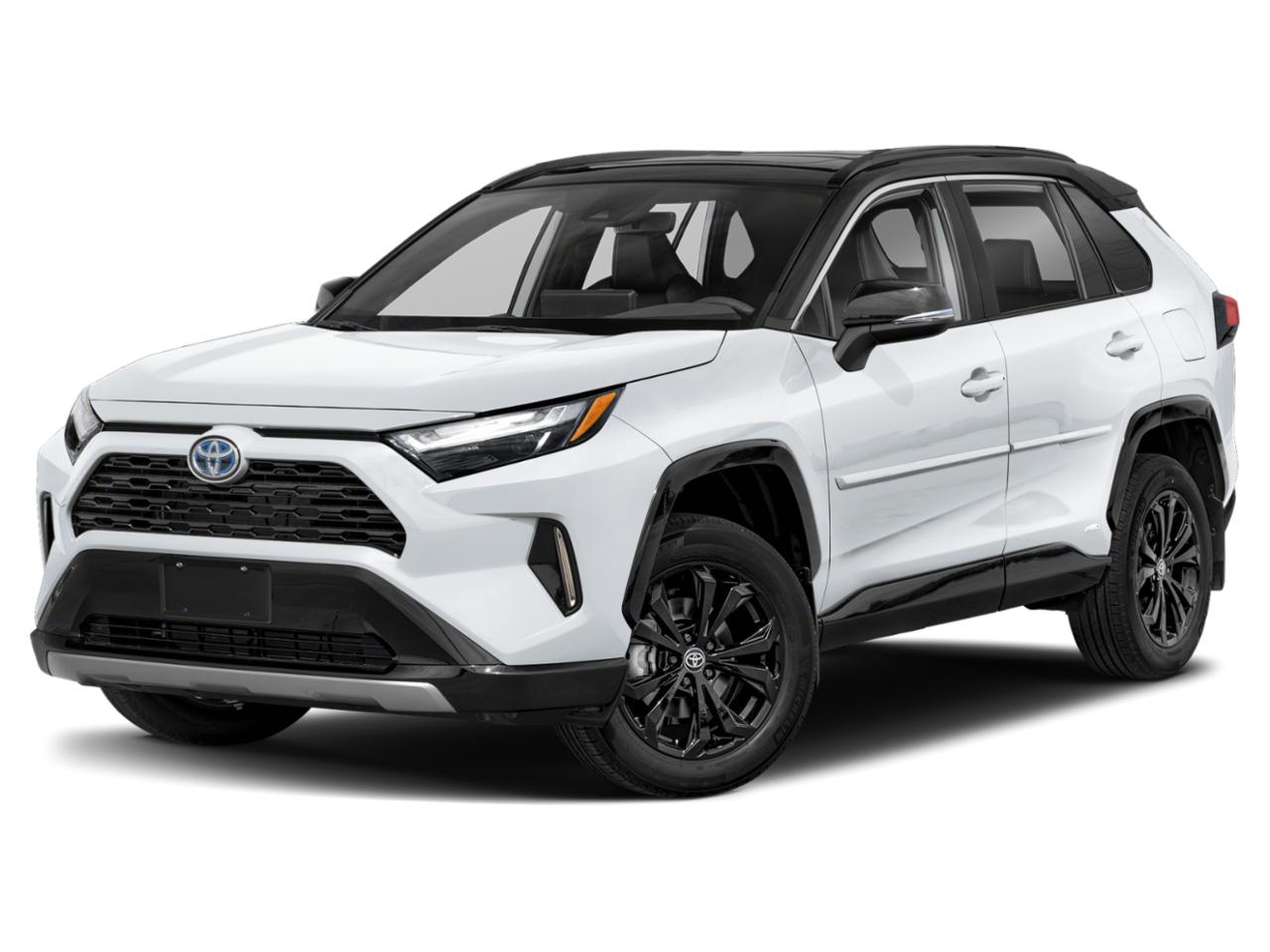 2023 Toyota RAV4 Vehicle Photo in Winter Park, FL 32792