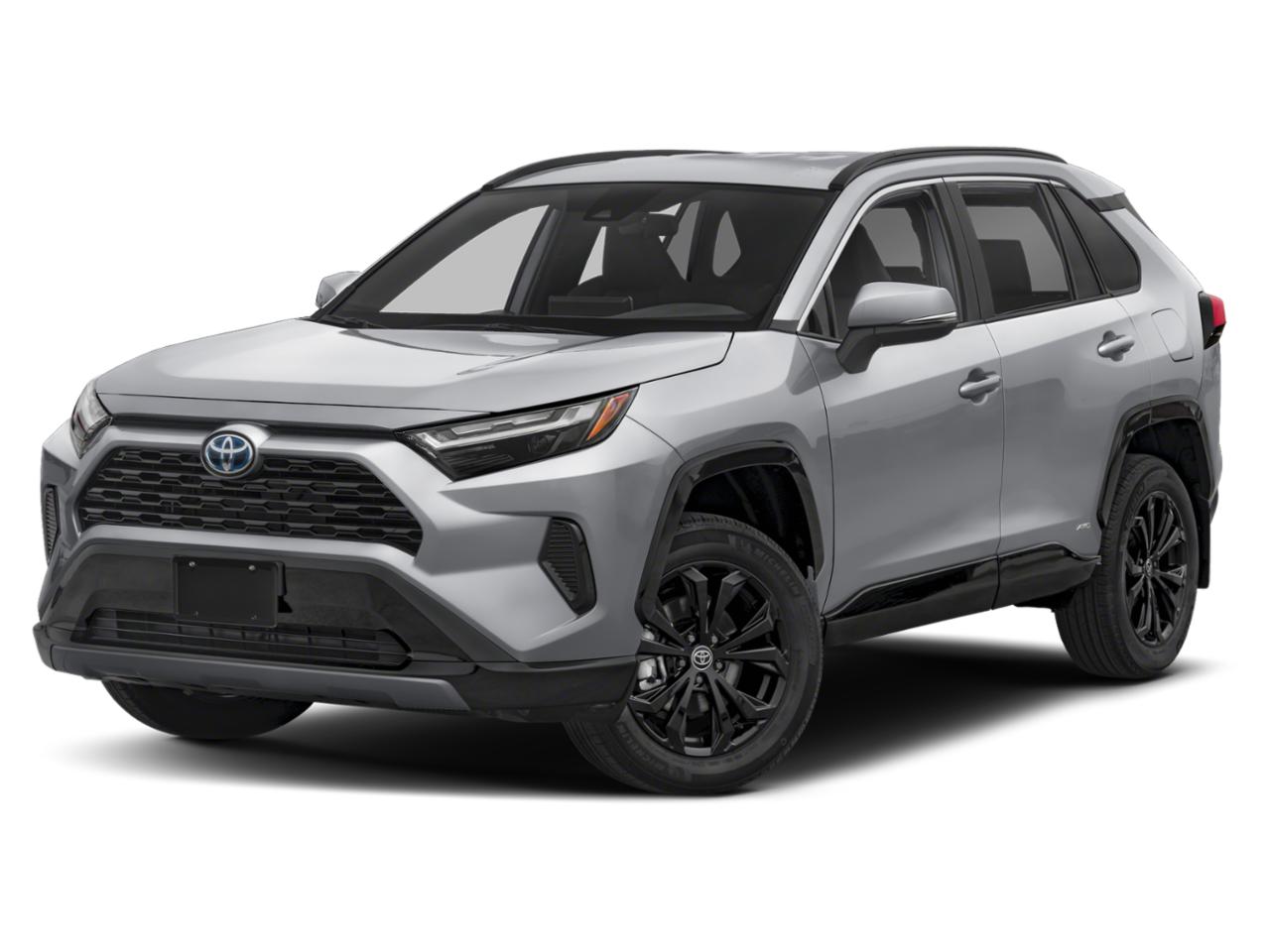 2023 Toyota RAV4 Vehicle Photo in Pinellas Park , FL 33781