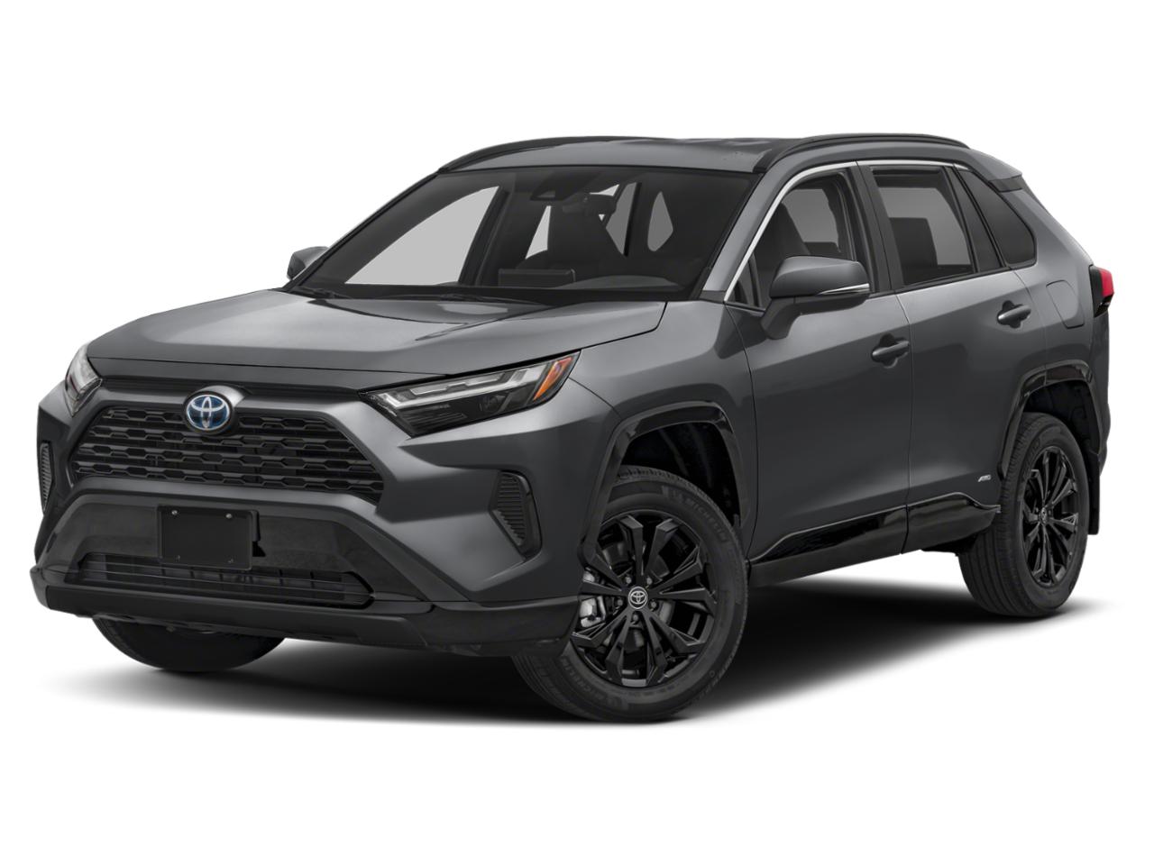 2023 Toyota RAV4 Vehicle Photo in Pinellas Park , FL 33781