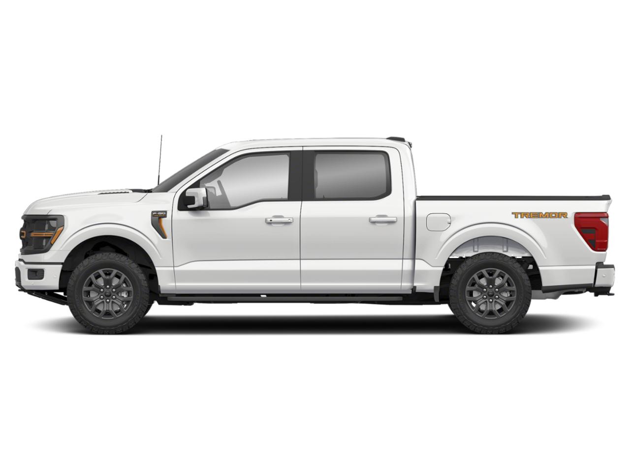 2024 Ford F-150 Vehicle Photo in Terrell, TX 75160