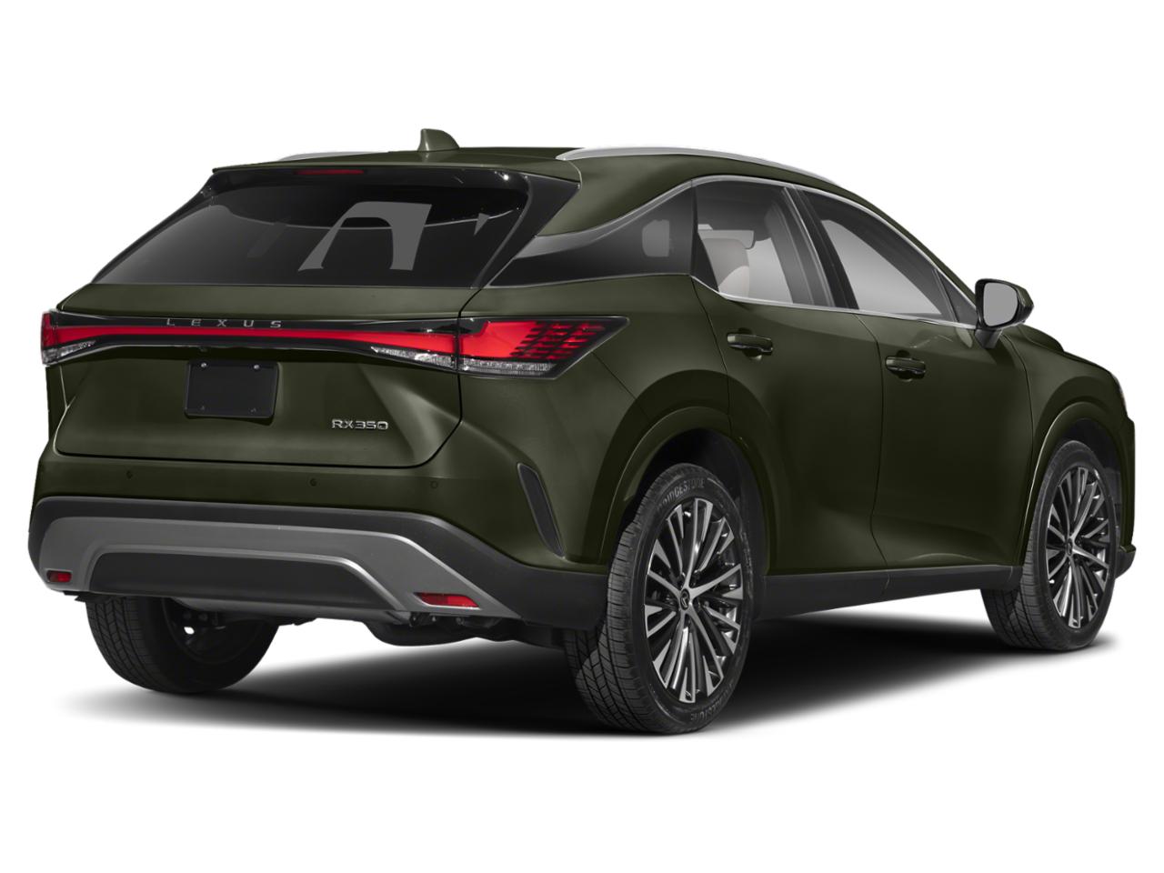 2024 Lexus RX 350 Vehicle Photo in Clearwater, FL 33761