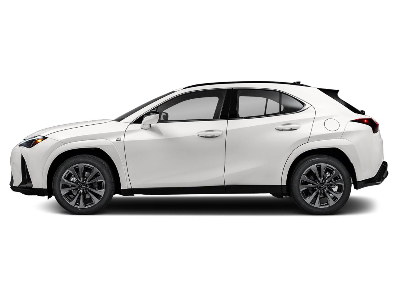 2024 Lexus UX 250h Vehicle Photo in Tampa, FL 33614